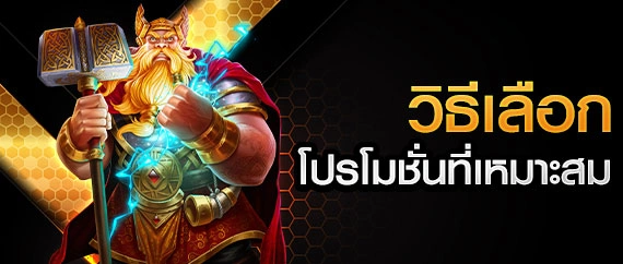 วิธีเลือกโปรโมชั่น
