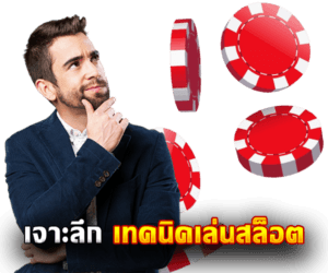 เจาะลึก เทคนิคสล็อต